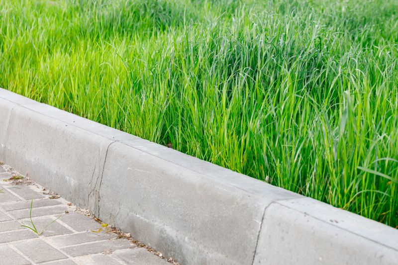 Curb Repair in Corpus Christi, TX